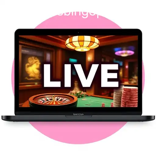 Live Casino: The Ultimate Entertainment Experience with Bingoplus